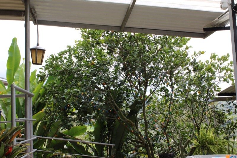 naturaleza 0